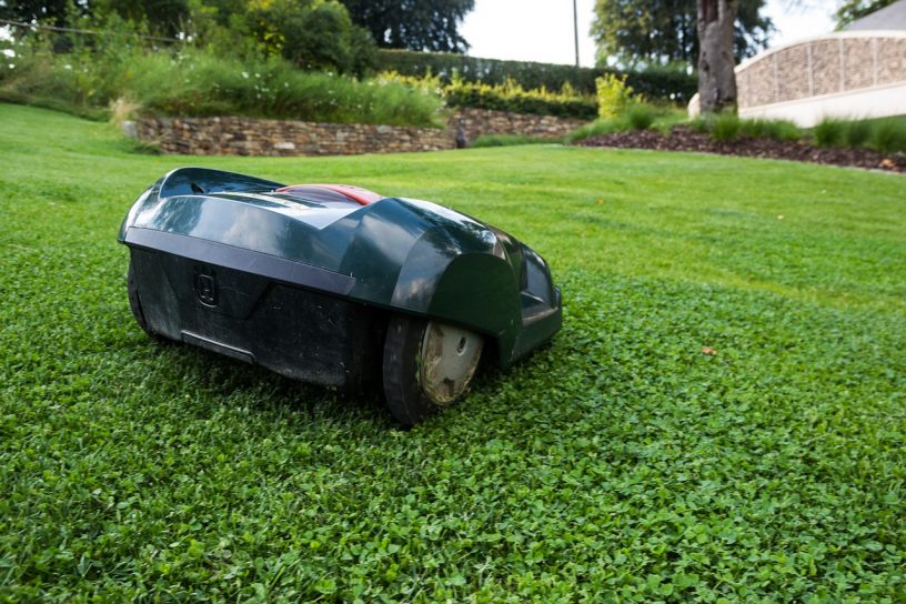 Rasenmäher-Roboter auf einer Wiese.